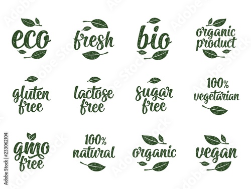 Gluten, lactose, sugar, gmo free lettering. Sign 100% organic food