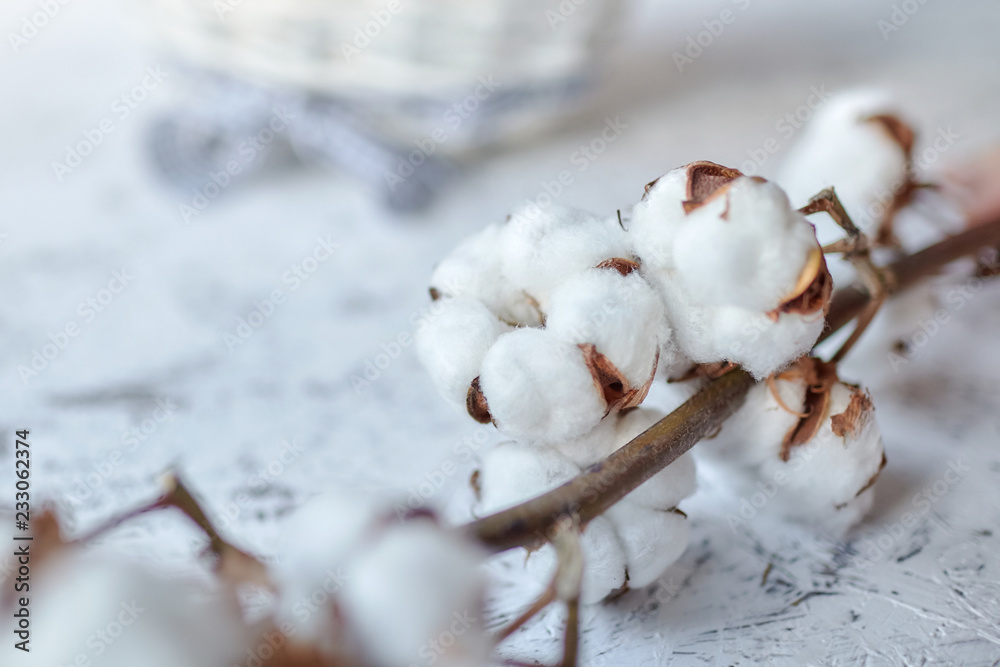 Branch of white soft cotton flowers. Plant lying near a wicker basket on a wooden table. Selective focus. Blurred background Branch of white soft cotton flowers. Plant lying near a wicker basket on a wooden table. Selective focus. Blurred background