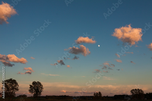 Evening sky. Orange clouds, moon, trees on the horizon.