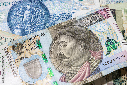 polish money background