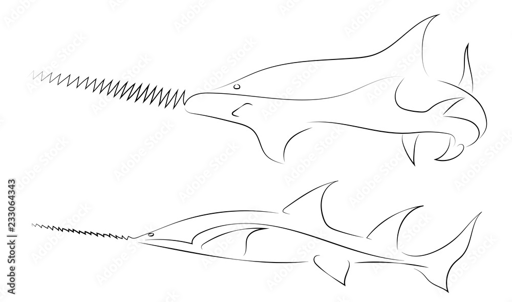 Black line fish saw on white background. Hand drawing vector graphic fish. Sketch style. Animal illustration. Black line fish saw on white background. Hand drawing vector graphic fish. Sketch style. Animal illustration.