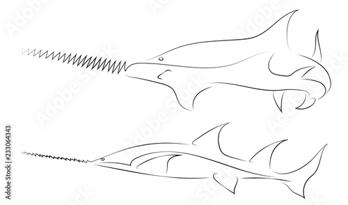 Black line fish saw on white background. Hand drawing vector graphic fish. Sketch style. Animal illustration.