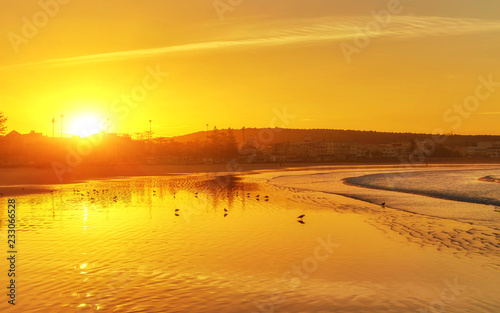 Early morning sunrise over the sea and a birds