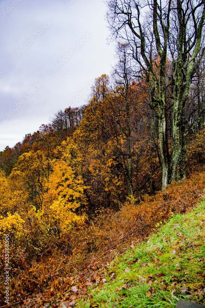 colorful autumn hillside in the blue ridge mountains colorful autumn hillside in the blue ridge mountains