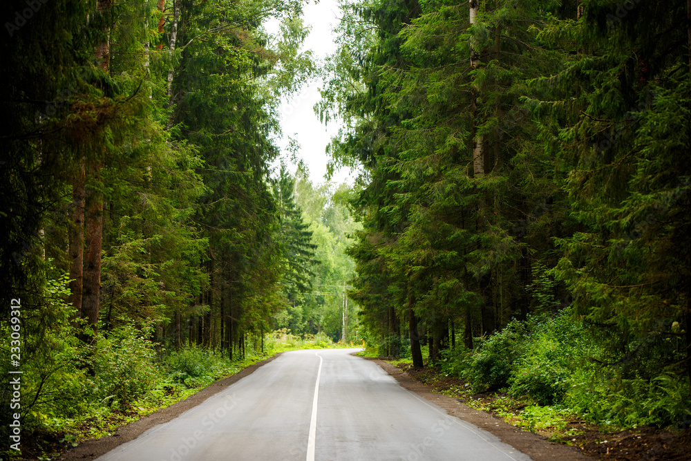Image of road from asphalt in forest