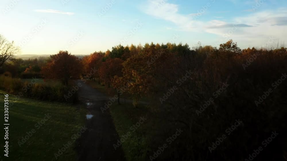 Autumn trees and farmlands in Yorkshire aerial view Autumn trees and farmlands in Yorkshire aerial view