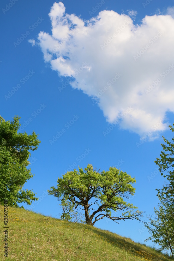 Altmühltal - Eichstätter Frauenberg