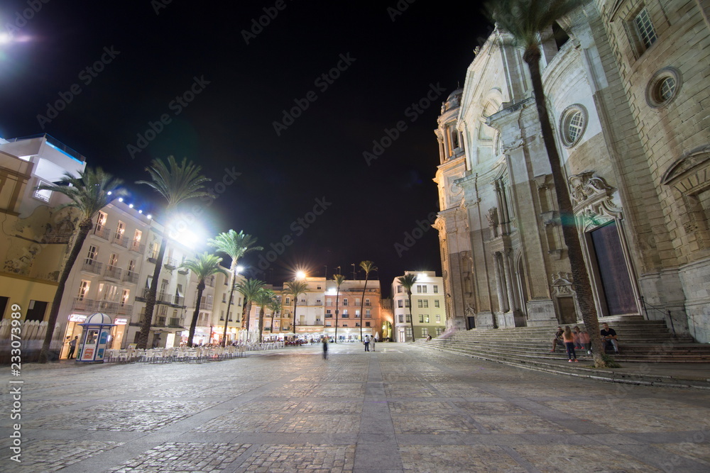 Cadiz cathedral by night Andalusia Spain