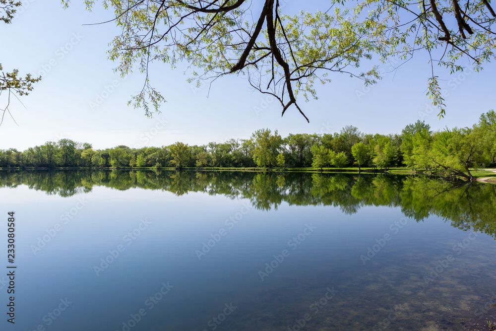 spring reflection on a pond