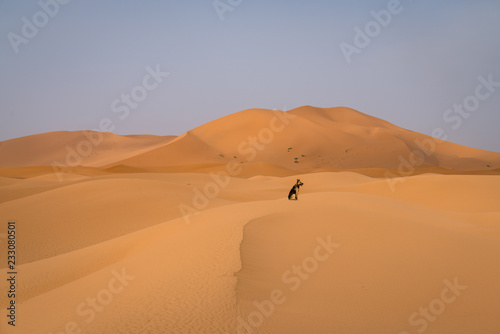 Erg Chebbi Dunes and Dog