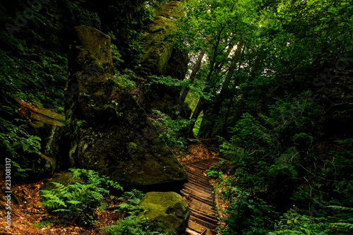 Hidden path through the forest around the Bastei bridge in Saxony, Germany