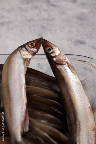 Two fish kissing, small sprat in a glass container. photo