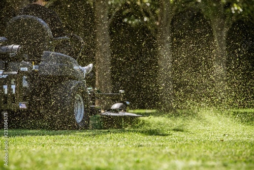 Summer Mowing