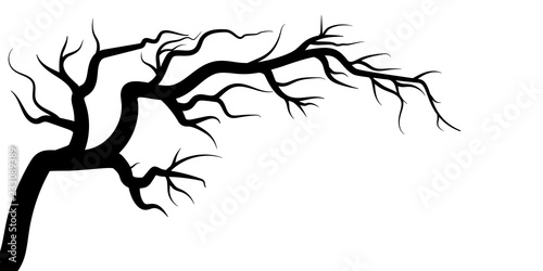 tree branches isolated