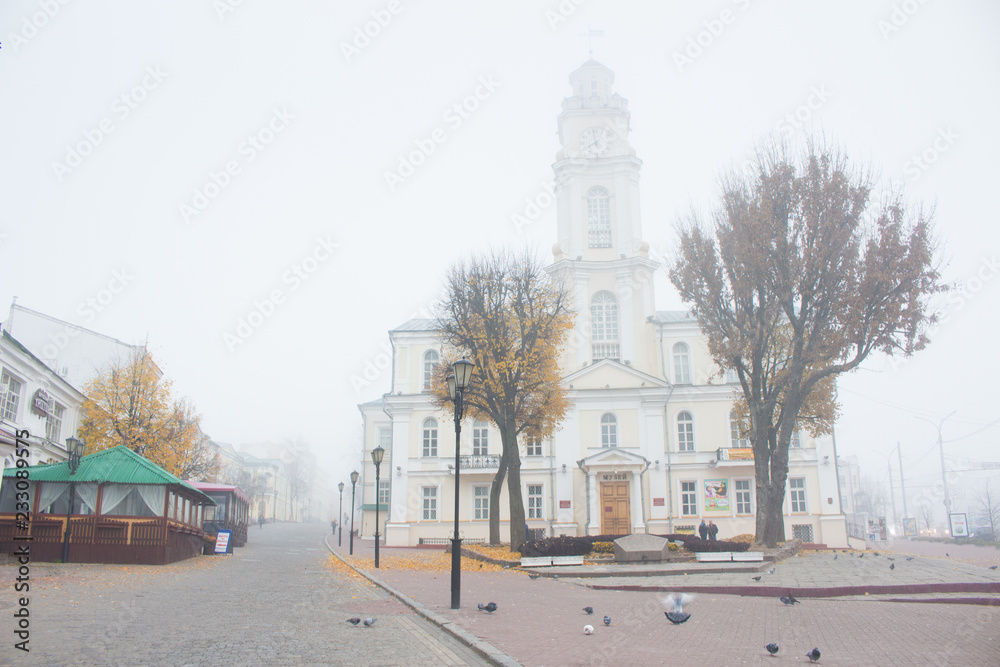 Fototapeta premium fog in the city