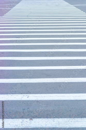 Zebra pedestrian crossing. city road