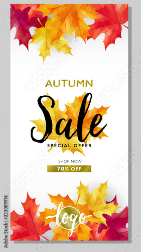 Autumn sale layout decorates with maple leaves on white background for sale promotion, poster, flyer, leaflet, web banner and graphic use. Vector illustration template.