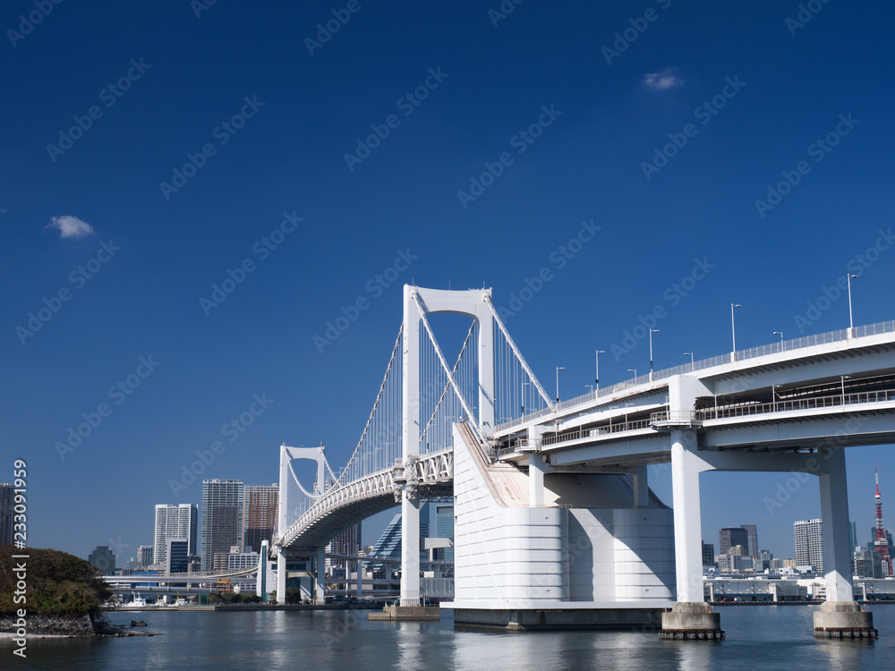 東京港とレインボーブリッジ