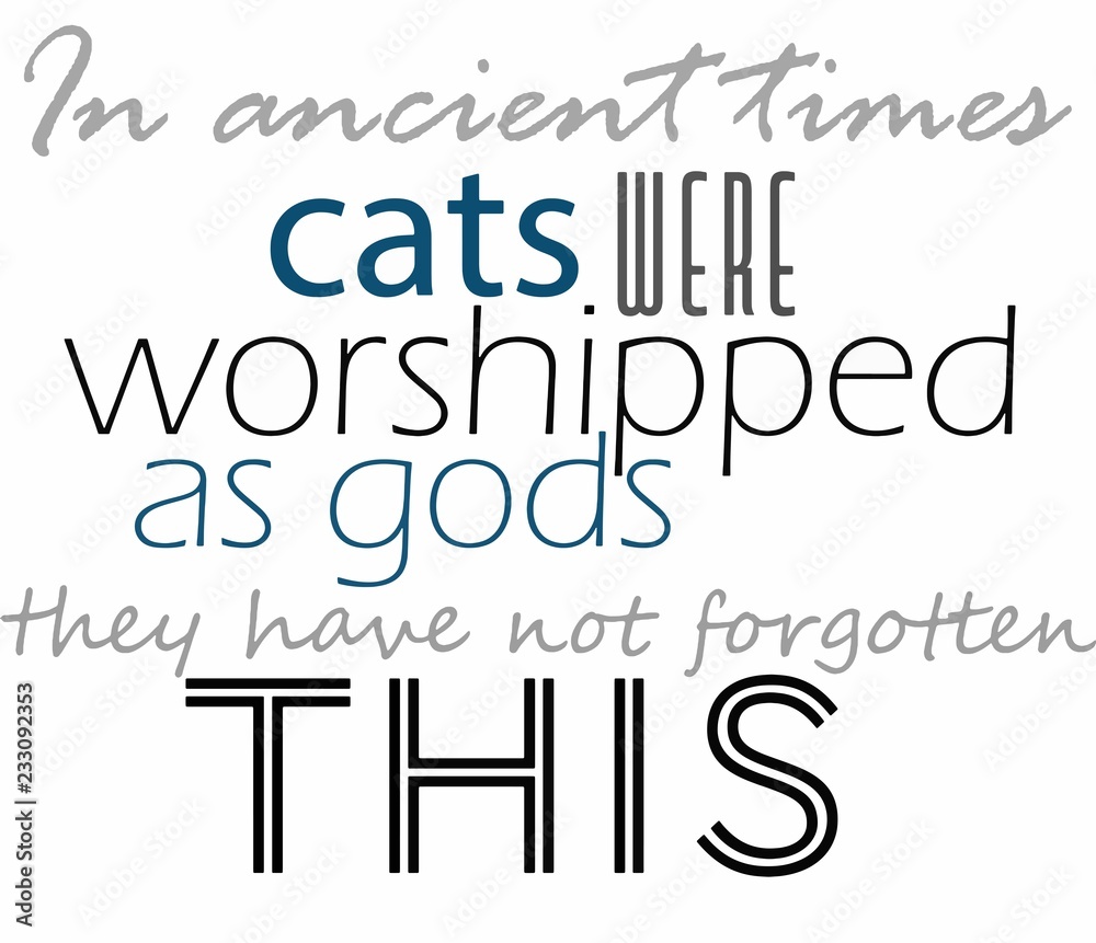 in ancient times cats were worshipped as gods they have not forgotten this