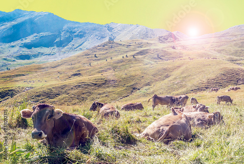 Mountains of Cerler in the Pyrenees photo