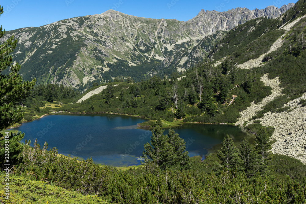 Amazing Landscape with Fish Vasilashko lake, Pirin Mountain, Bulgaria