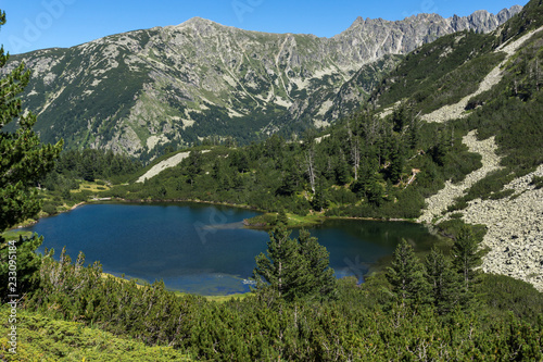 Fototapeta Naklejka Na Ścianę i Meble -  Amazing Landscape with Fish Vasilashko lake, Pirin Mountain, Bulgaria