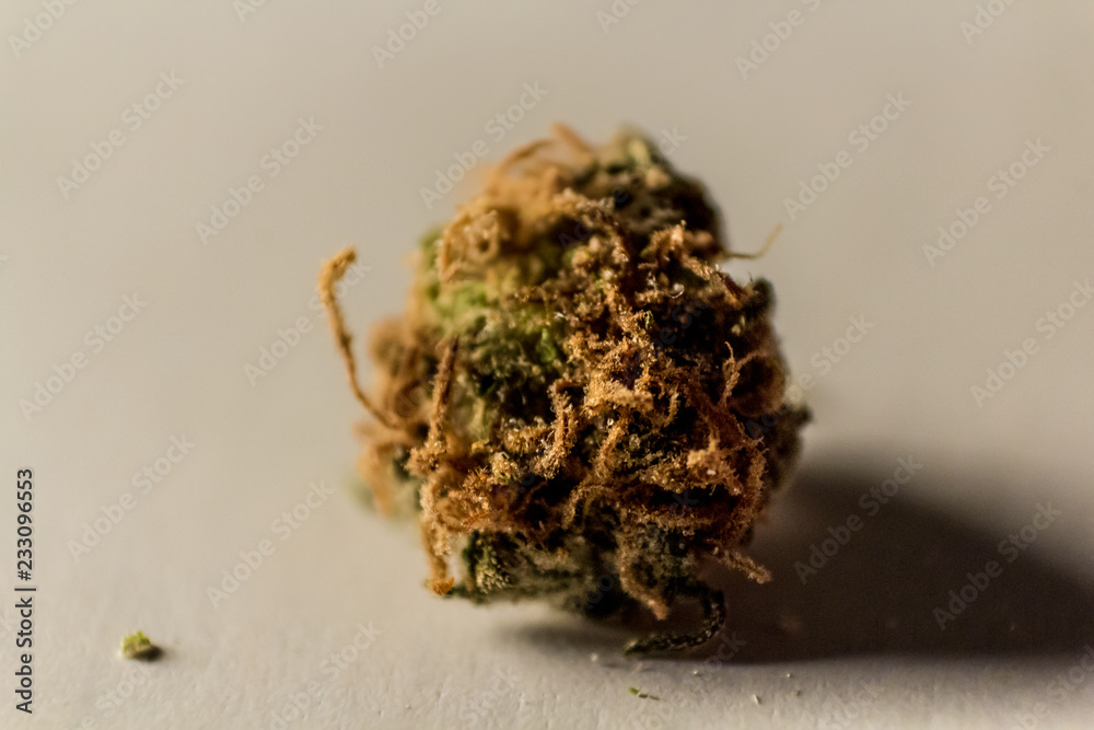 Macro extension close up of a green marijuana bud with long orange hairs and coated in crystals.