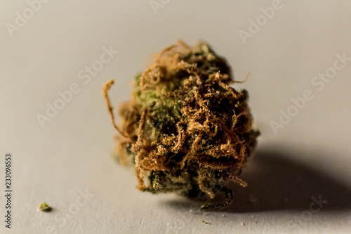 Obraz na płótnie Macro extension close up of a green marijuana bud with long orange hairs and coated in crystals. w salonie