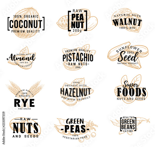 Nuts and fruit seeds vector sketch lettering