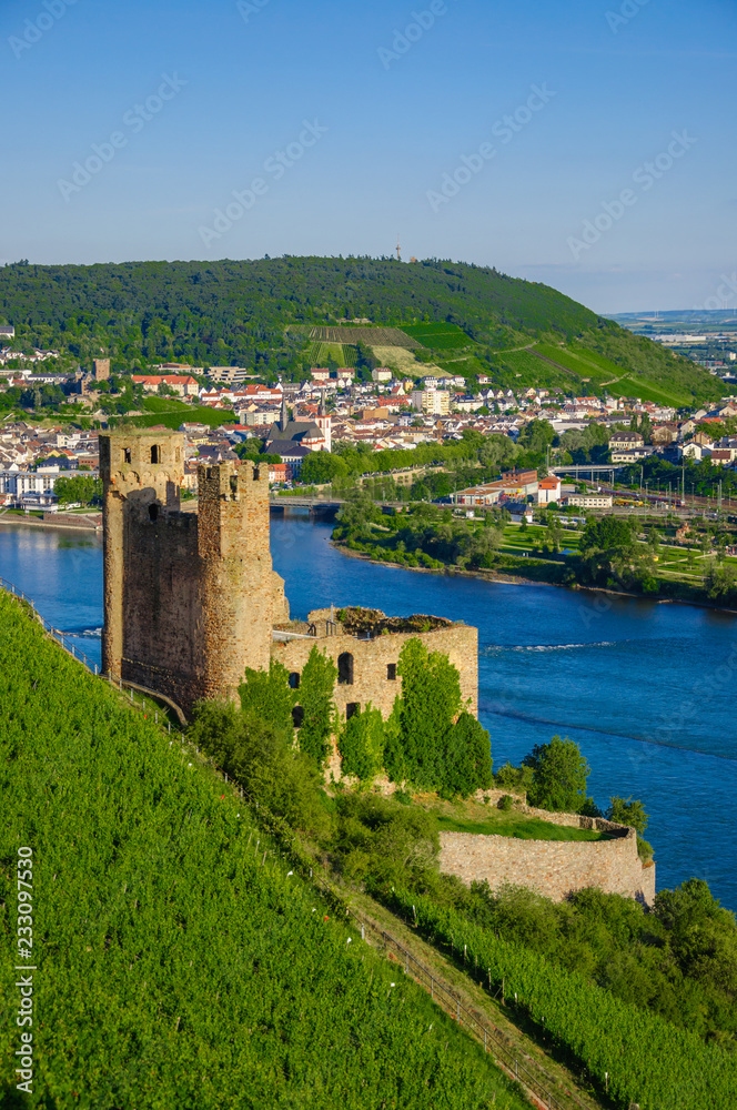 Ehrenfels Castle on Rhine river near Ruedesheim