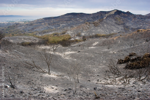 Scorched landscape after California wildfires