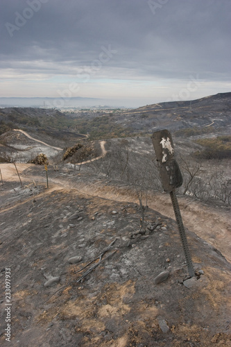 Scorched landscape and sign after California wildfires
