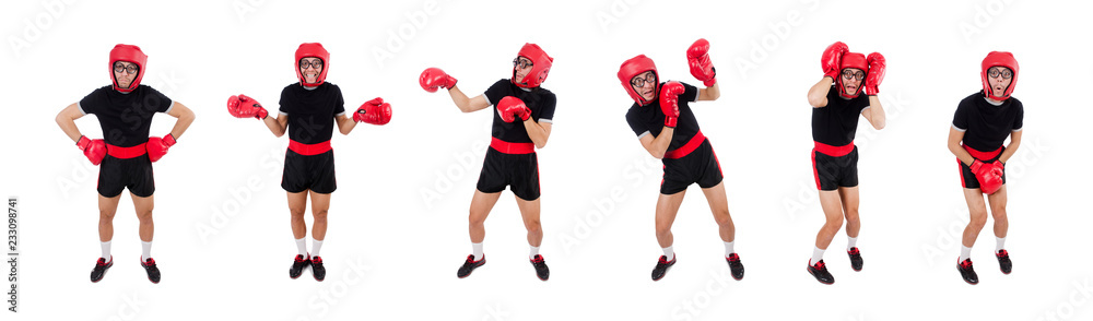 Funny boxer isolated on the white