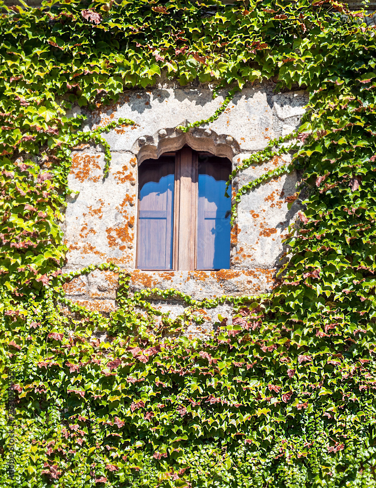 Window with flowers on the facade of a house