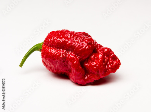 Red Brain Strain - Hot Pepper photo