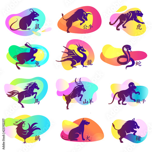 Set of twelve lunar zodiac horoscope sign. Concept chinese happy new year. Silhouette animal sketch on color plastic shape background. English translate chinese hieroglyph is name of animal