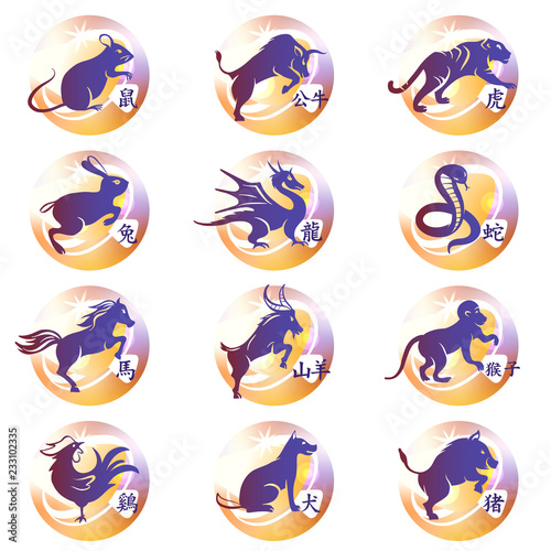 Set of twelve lunar zodiac horoscope symbol. Concept chinese happy new year. Silhouette animal sketch vector illustration on color background. English translate chinese hieroglyph is name of animal.