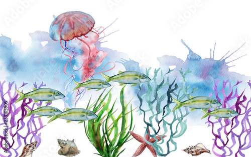sea jellyfish. Isolated on white background. 