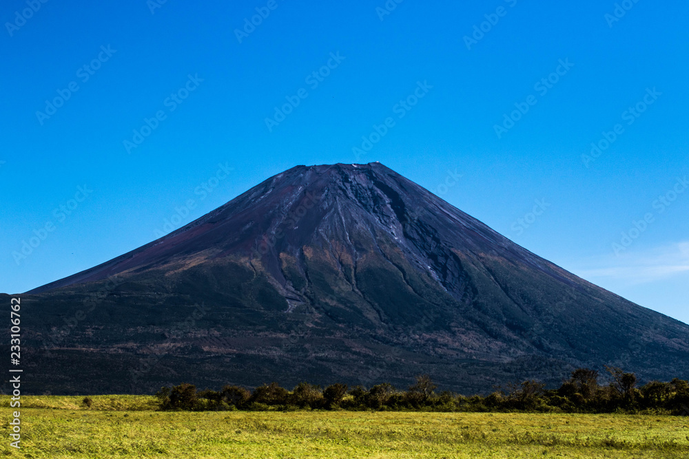 Fototapeta premium 朝霧に聳える富士