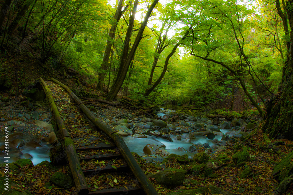 Naklejka premium 山梨県雄滝の渓流
