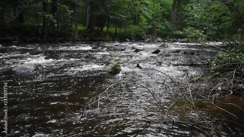 A river runs through a forest on a path not often traveled or hiked