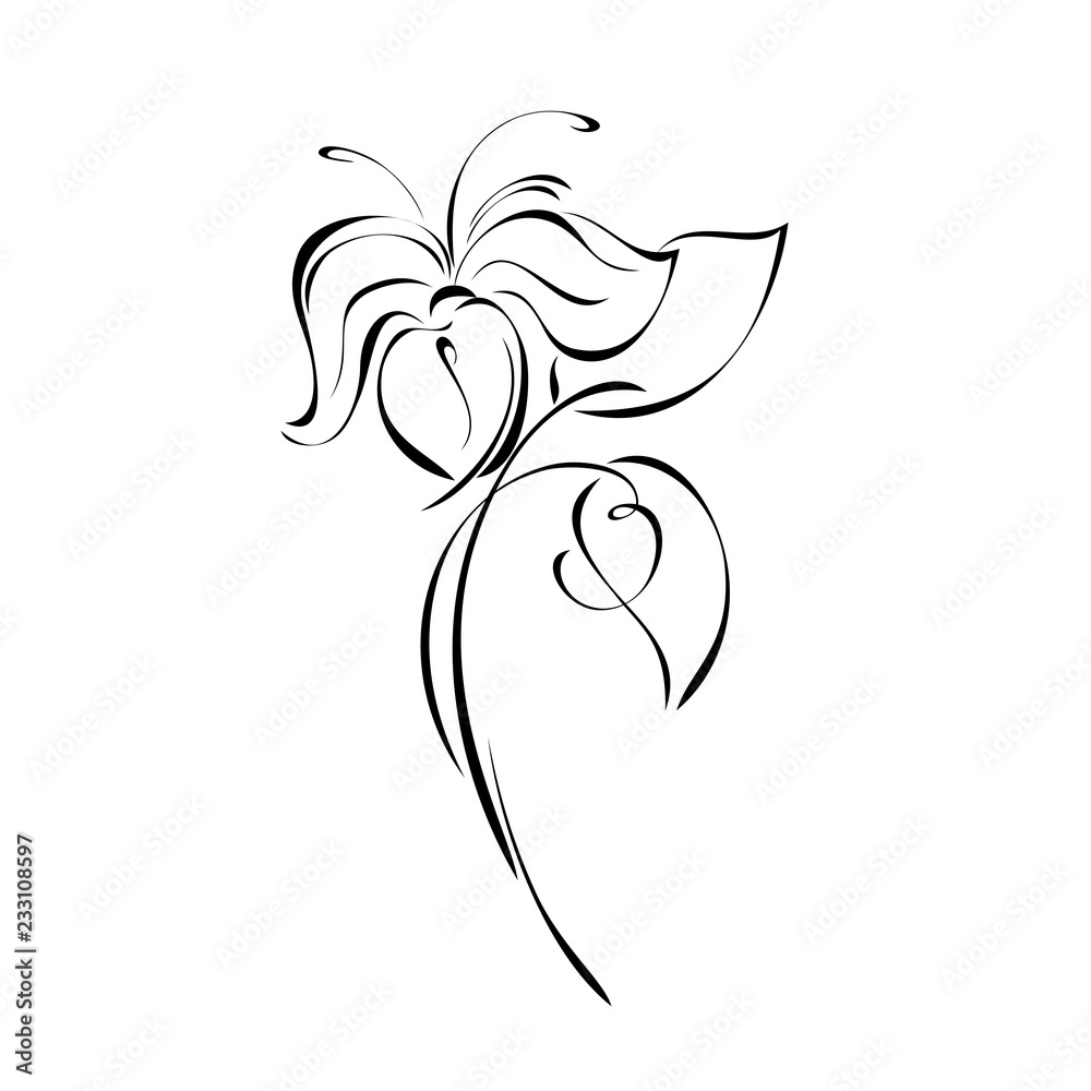 Fototapeta premium one stylized flower on a stem with leaves in black lines on a white background
