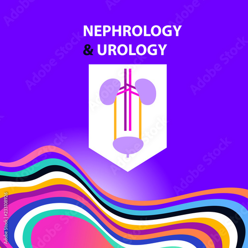Template simple style logo, banner, poster, flyer for medical clinic, cabinet. Concept image nephrology, urology, urogenital system, kidney, ureter and bladder. Vector illustration