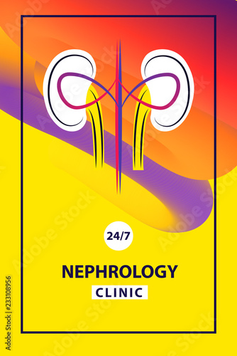 Template simple style logo, banner, poster, flyer for medical clinic, cabinet. Concept image nephrology, urology, urogenital system, kidney. Vector illustration