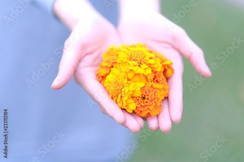 Marco view of Orange flowers on the hand of young lady