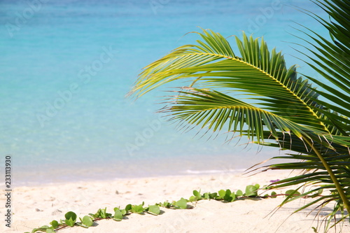 Fototapeta Naklejka Na Ścianę i Meble -  Beautiful island of Koh Lipe in southern Thailand