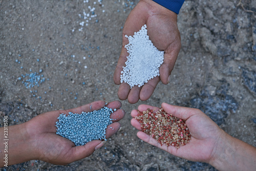 Compound fertilizer , Bulk Blend Fertilizer and urea in farmer hands.