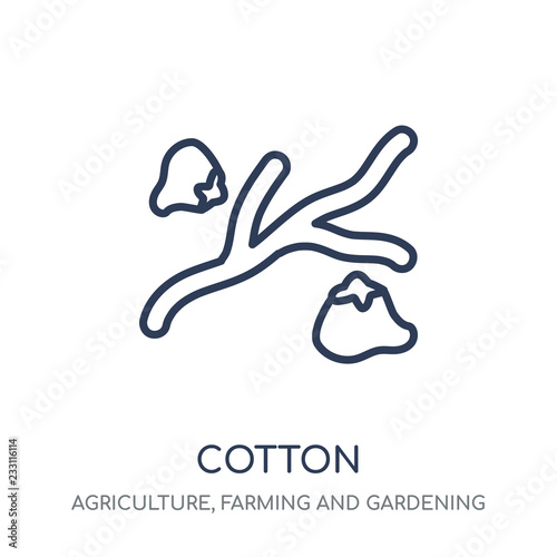 Cotton icon. Cotton linear symbol design from Agriculture  Farming and Gardening collection.