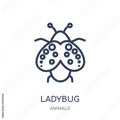 Ladybug icon. Ladybug linear symbol design from Animals collection.
