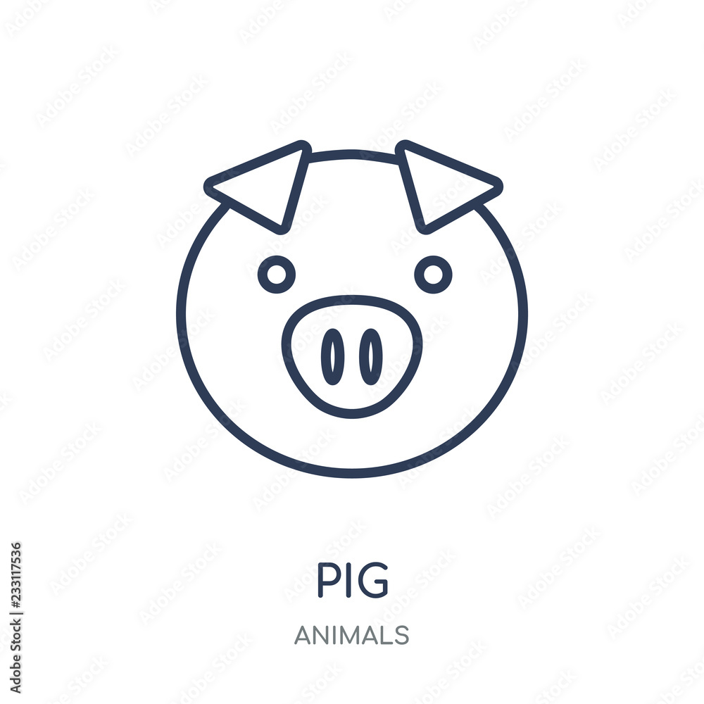 Pig icon. Pig linear symbol design from Animals collection. Pig icon. Pig linear symbol design from Animals collection.